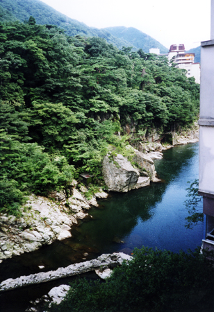 20040019