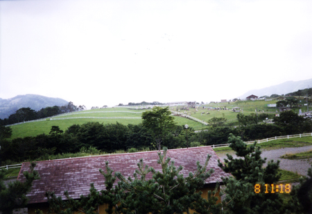20040025