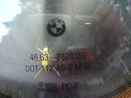 TS280234