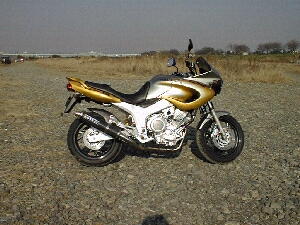 TDM850