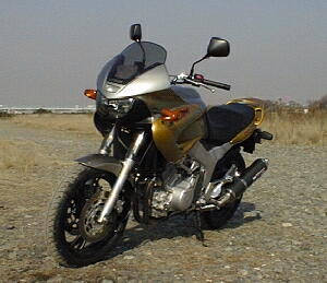 TDM850