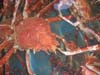 2004_0111AA
